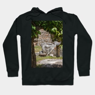 Feathered serpent head carving Hoodie